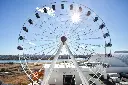 Circle-Wheel-scaled.webp